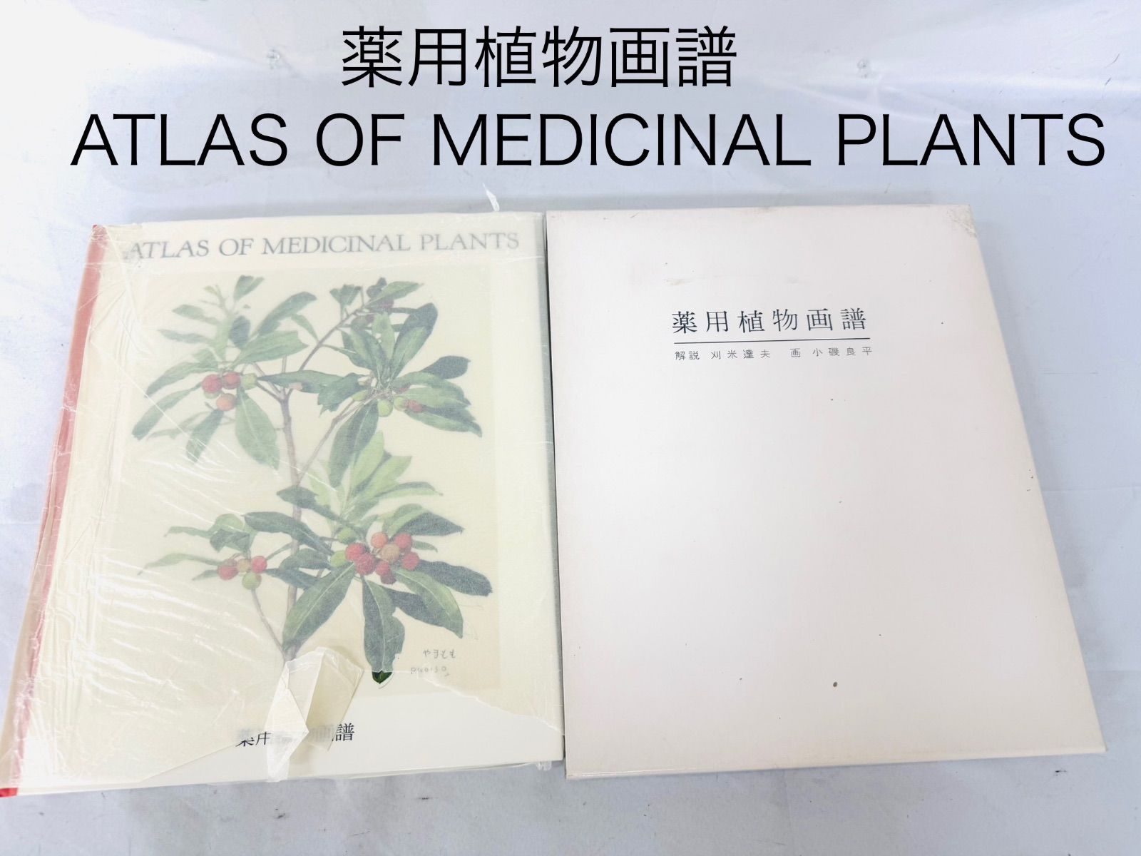 初版！判子＆カバーあり！薬用植物画譜 /小磯良平 刈米達夫 静物画 薬用植物画譜 ATLAS OF MEDICINAL PLANTS