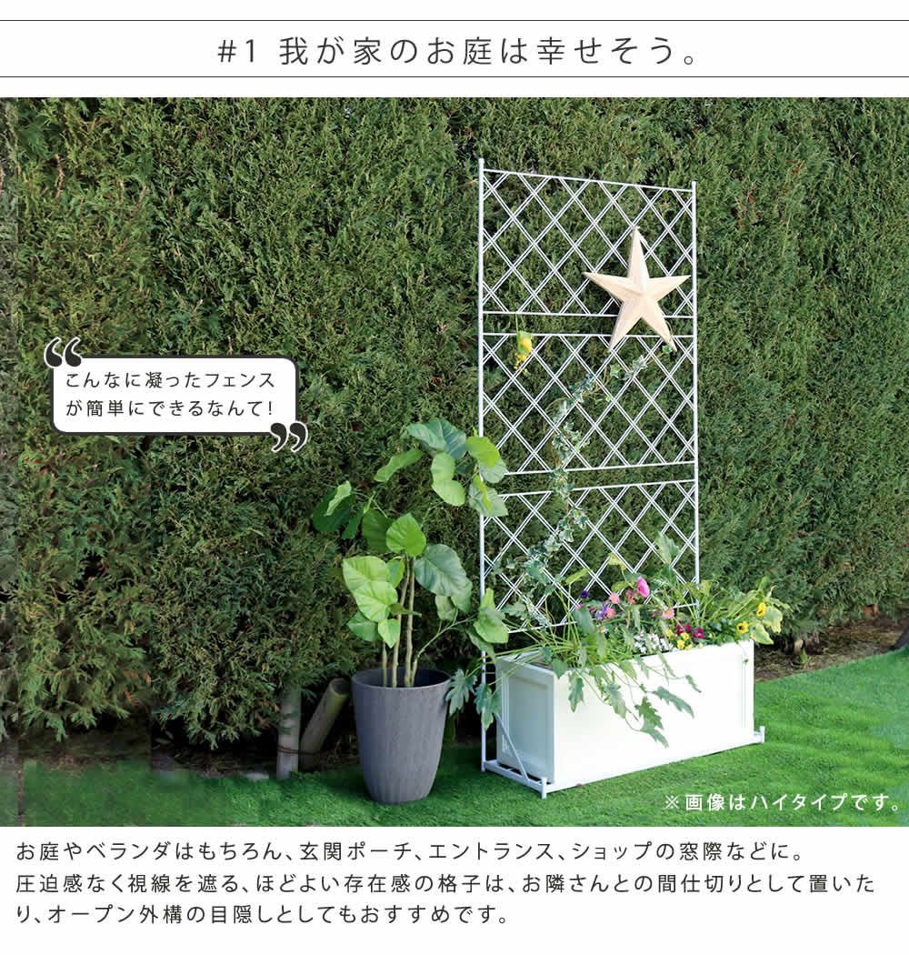 ラティス