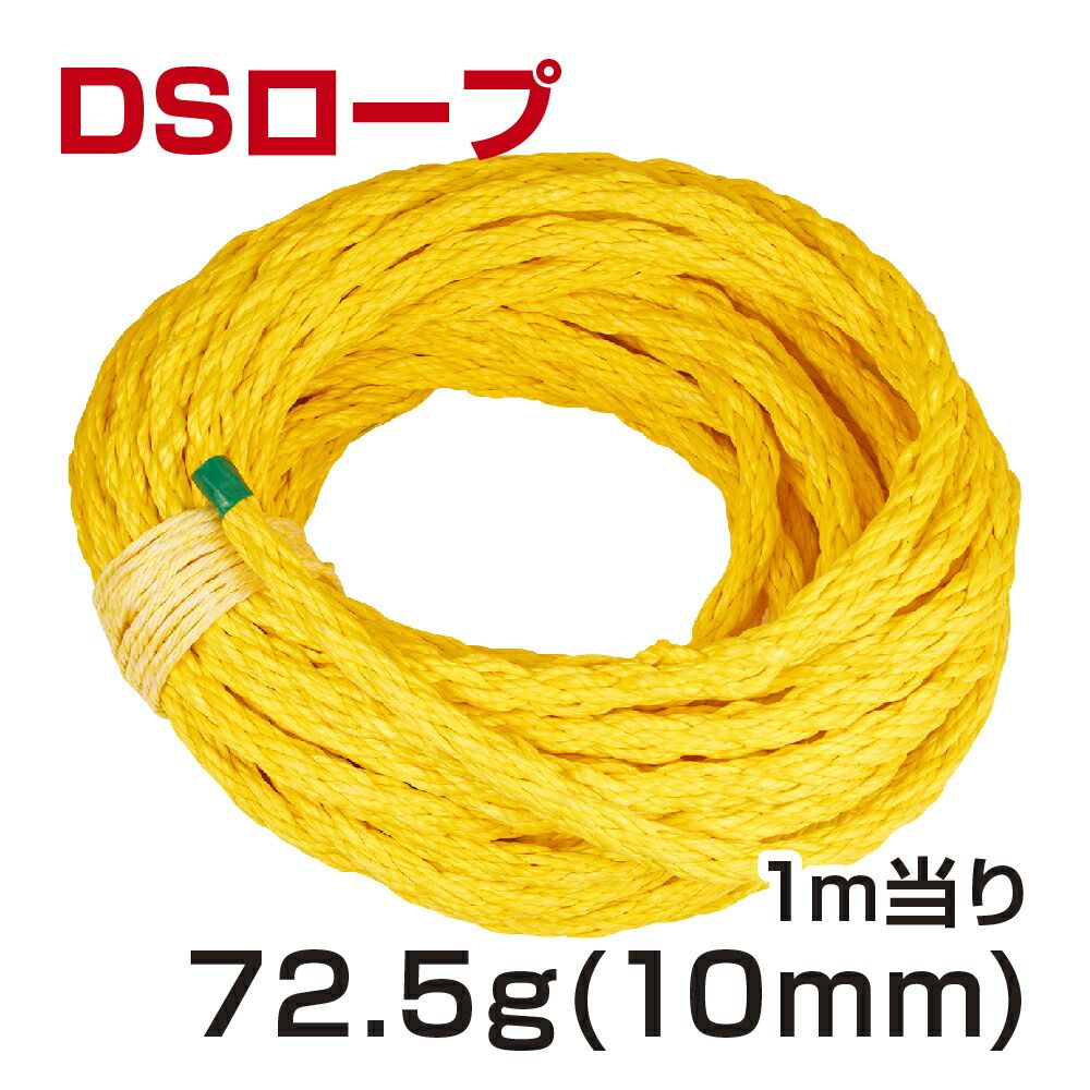 DSロープ10mm100m 加工なし