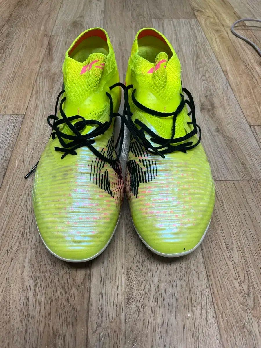 フューチャー 6 私は急いでいます LLC-HASEGAWATOSO_COM