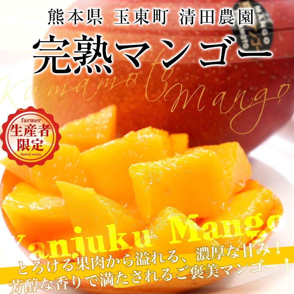 熊本県から産地直送 玉東町 清田農園 完熟マンゴー 秀品 大玉3L