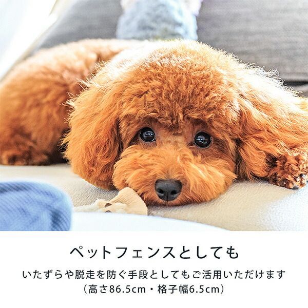 ティー シー