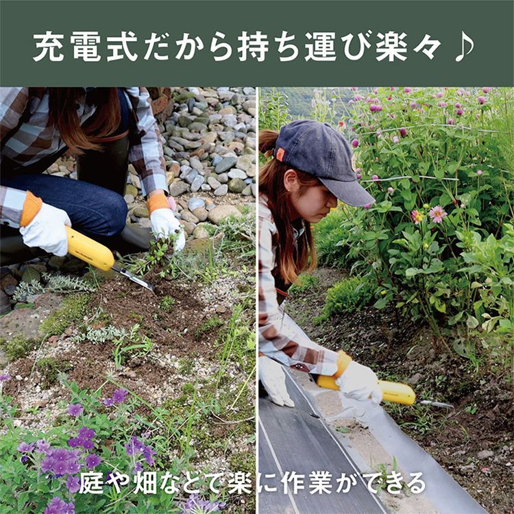 軽量
