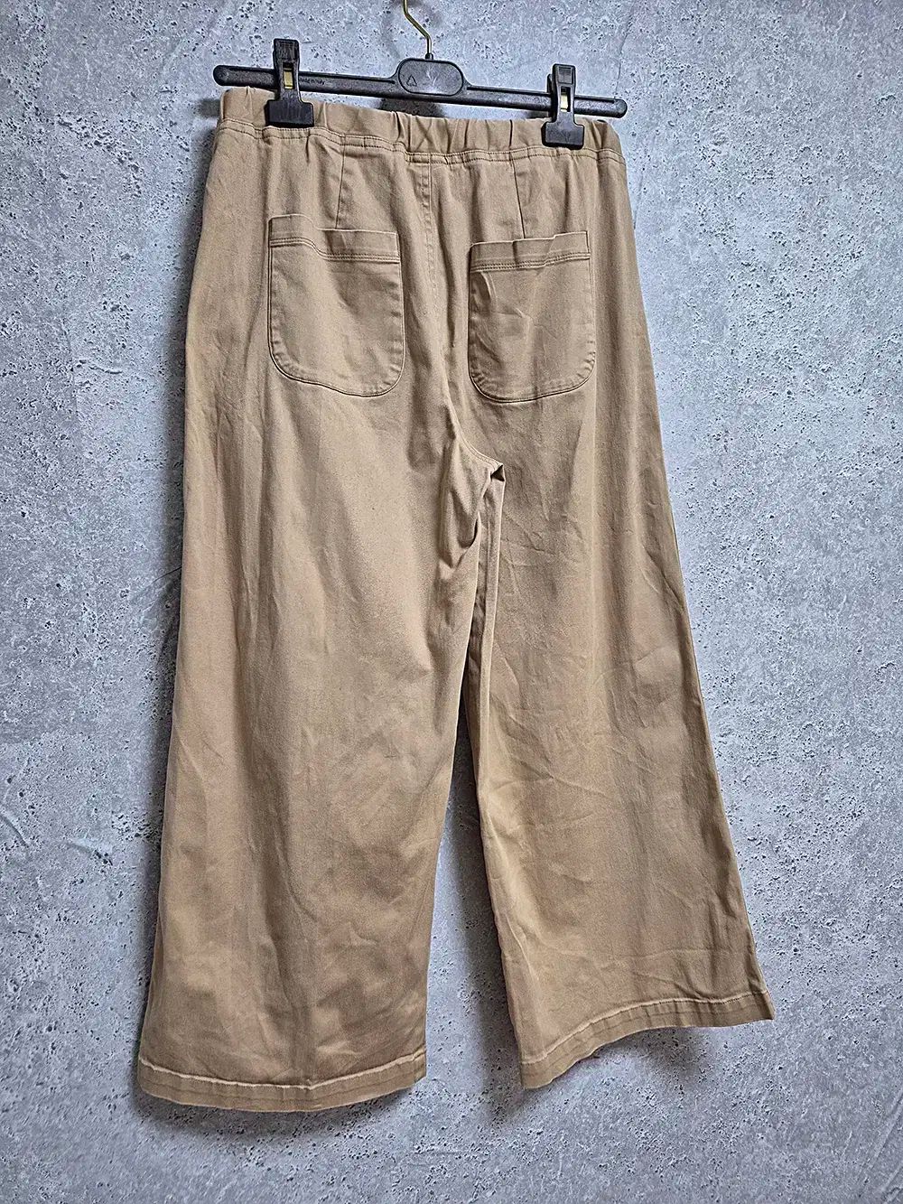 Champion チャンピオン