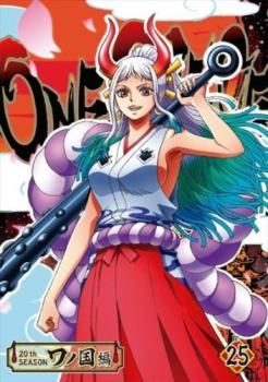 ONE PIECE ワンピース 20thシーズン ワノ国編 R-25(第991話～第