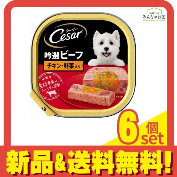 シーザー トレイ 吟選ビーフ チキン 野菜入り ふわふわローフタイプ 100g 6個セット まとめ売り