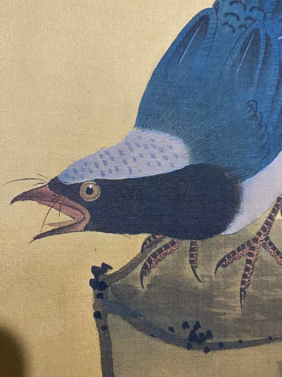 鳥の絵、中国彫アンティーク 中国古美術.精品三尺中堂画.趙佶花鳥画.手描きの作品.実物撮影