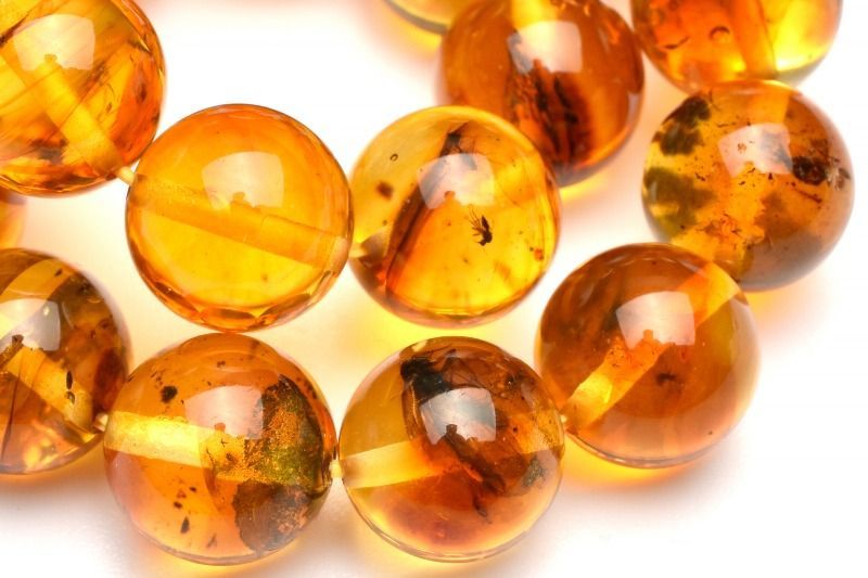 １点物 全粒内包 入荷 虫入りアンバー琥珀 9mm ブレスレット パワーストーン 天然石 _MA9173 NEXPOTALLINN_EU