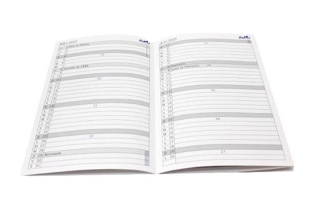 グローブトロッター 2025