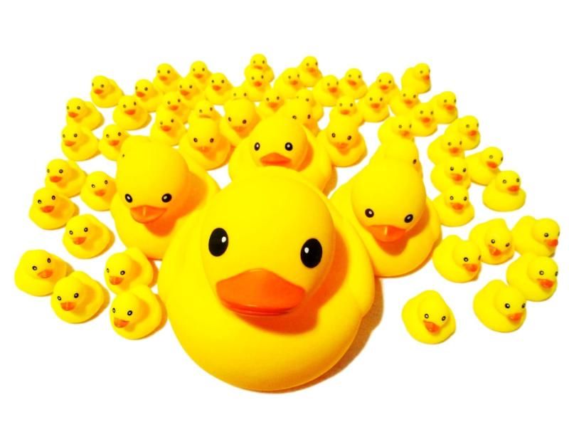 アヒルちゃん 動物のおまけ付き ５１０個 セット ウキウキ お風呂 アヒルちゃん おまけ付き ５１０個 セット ウキウキ お風呂 (５１０個