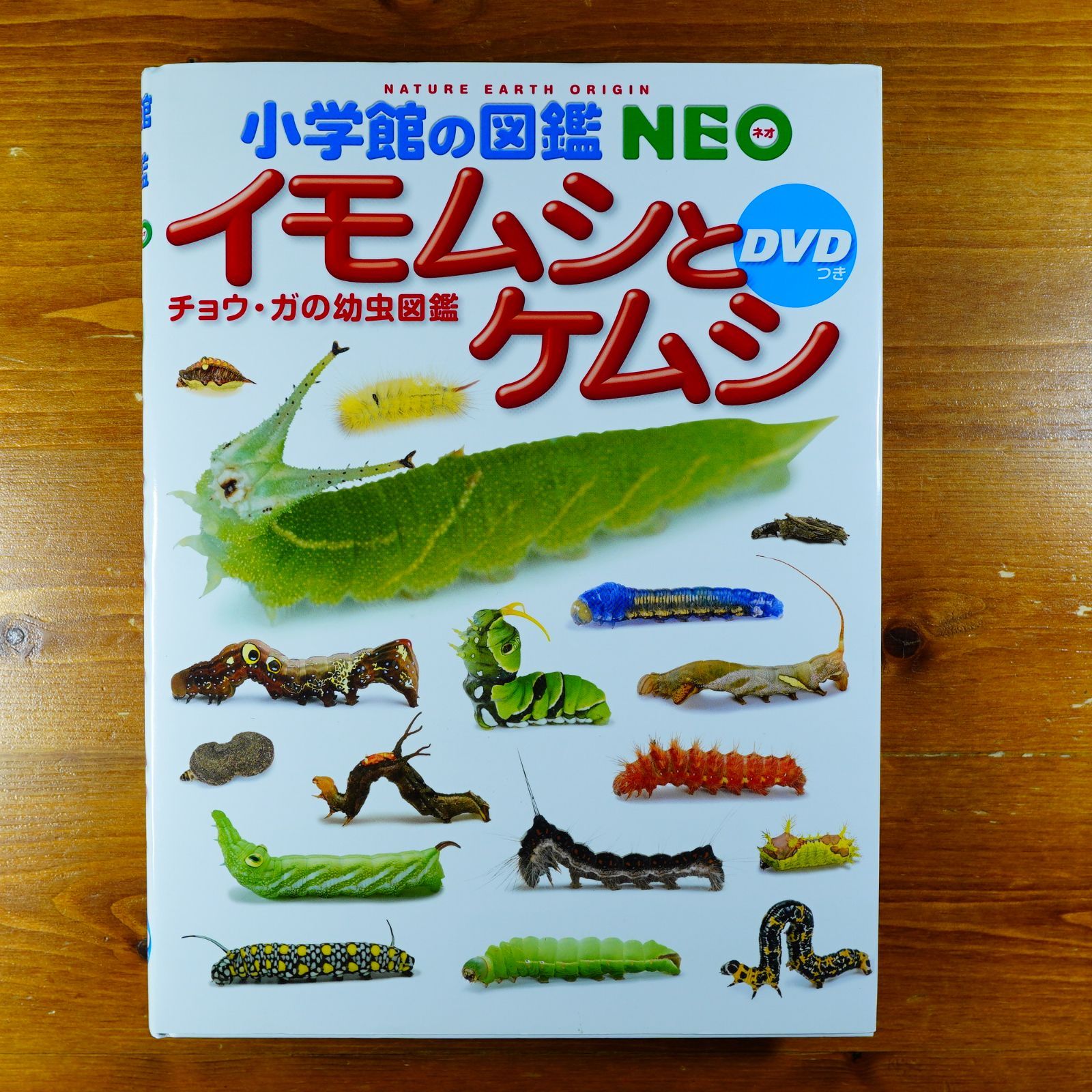 【DVD未開封】小学館の図鑑NEO イモムシとケムシ DVDつき: チョウ・ガの幼虫図鑑 (小学館の図鑑・NEO 23)   d4000