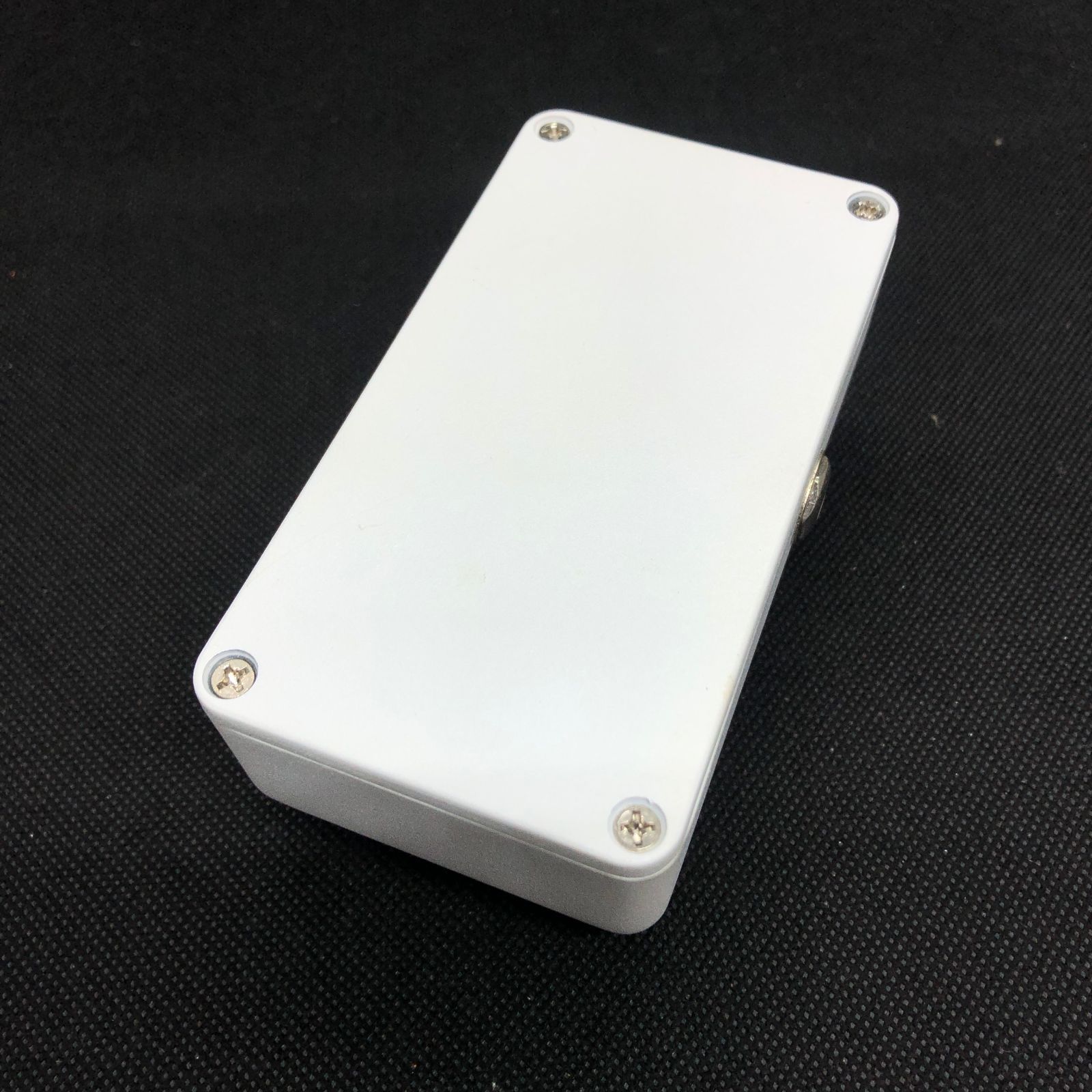 Animals Pedal Custom Illustrated 040 Sunday Afternoon Is