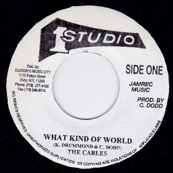 The Cables What kind of World 入手困難ジャマイカ盤 The Cables What kind of World 入手困難ジャマイカ盤