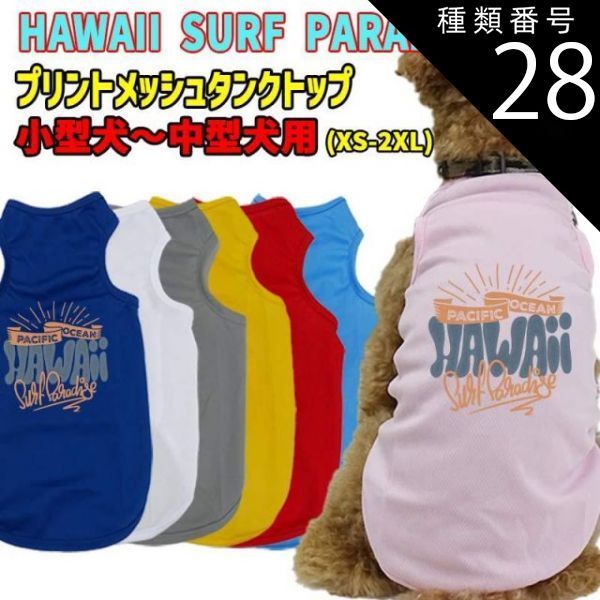 ワンちゃん 1000117745_1.jpg