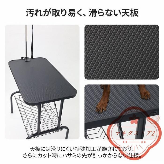中型犬