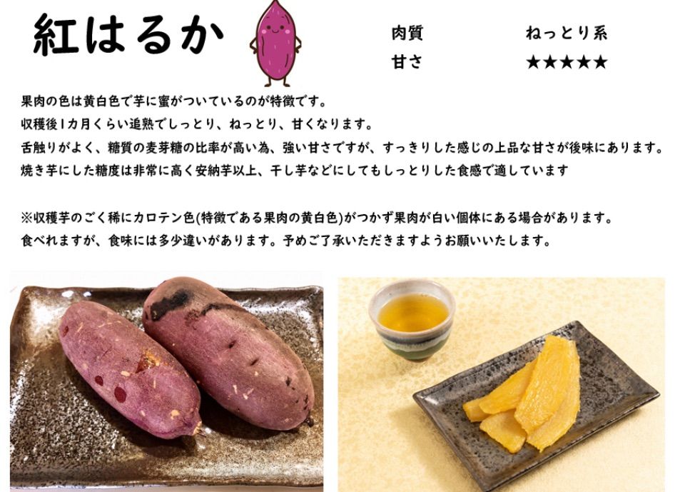 人気のさつまいも苗(紅はるか)ねっとりしたとても甘い 20本
