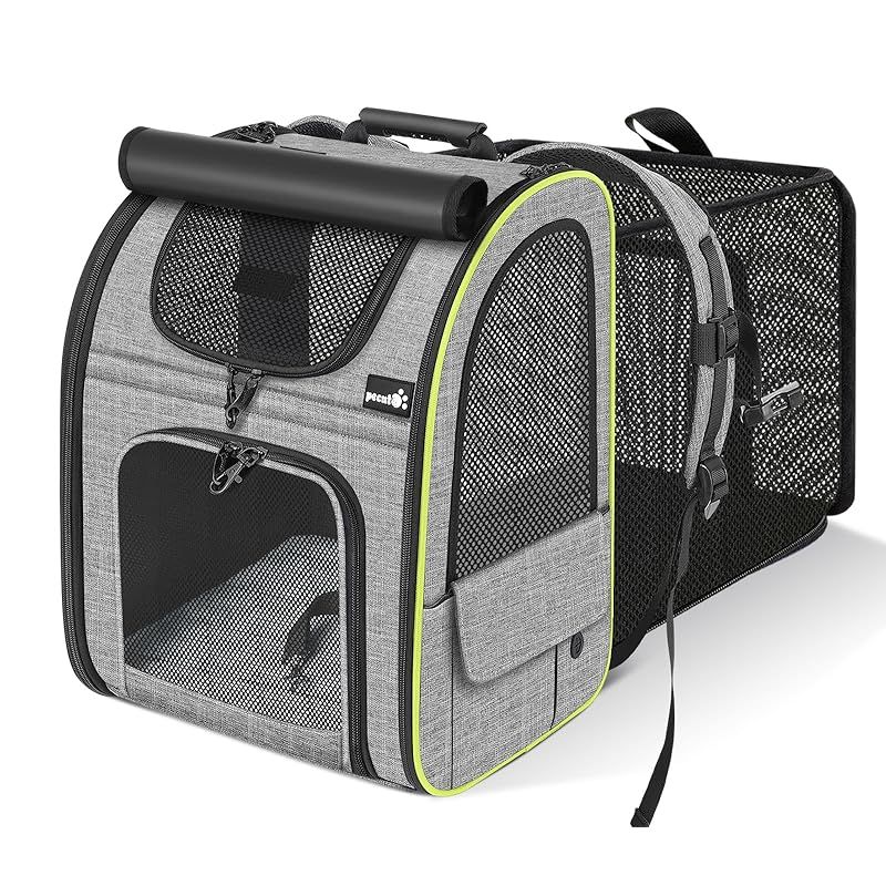 QuizKnock クイズノック クリアカード 東問 東言 - メルカリ 東言