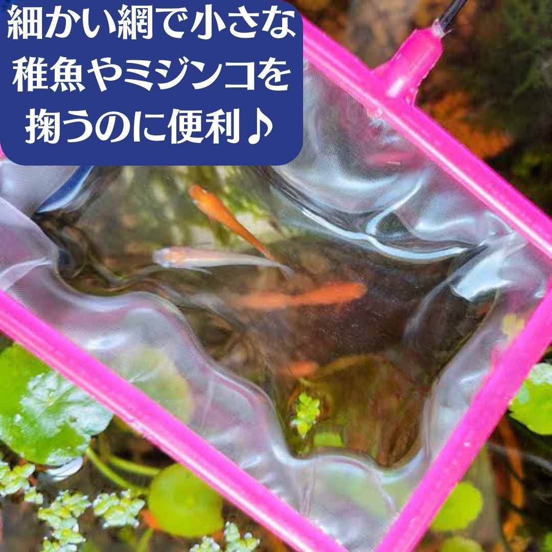 魚 掬う 網 ネット ごみ取り 水槽 ミジンコ 金魚メダカ 熱帯魚