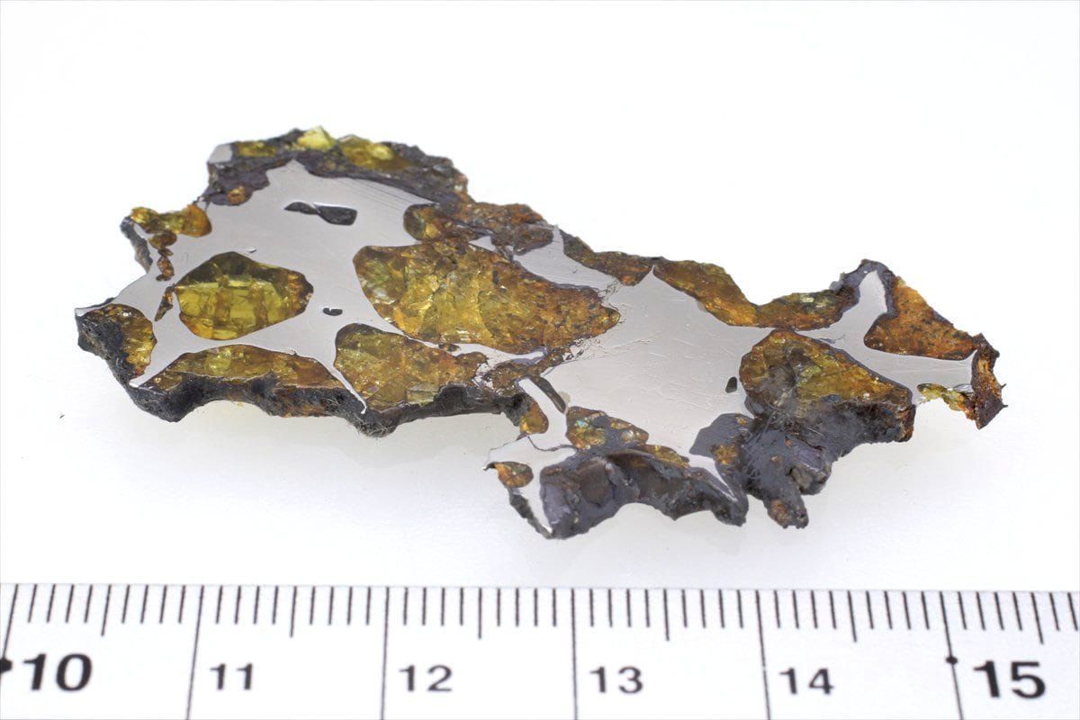 イミラック 11g スライス カット 標本 石鉄 隕石 パラサイト Imilac 5 