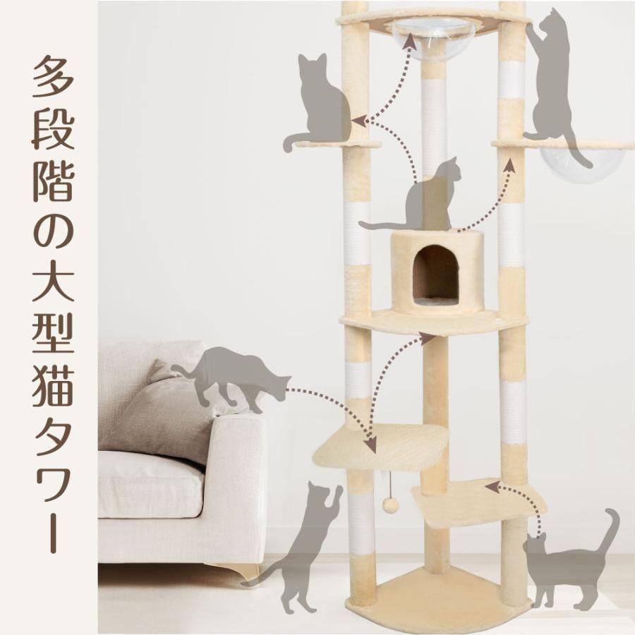 猫用