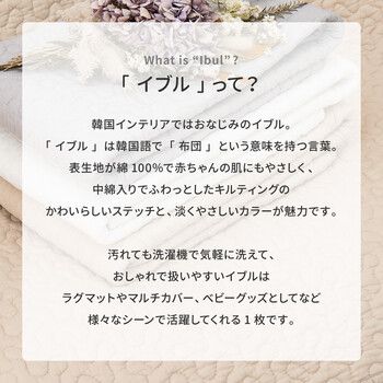 ラグ イブル-アンダーラグ2点デコール約190×240cm