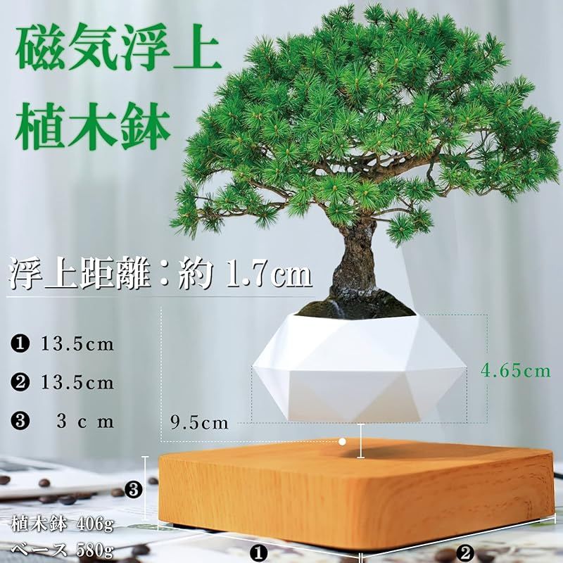 浮く植木鉢 台座 木目調 ブラウン 濃茶色 Floating Flowerpot フローティング フラワーポット 磁気浮上 植木鉢 浮遊 プランター 盆栽鉢 0 LLC-HASEGAWATOSO_COM