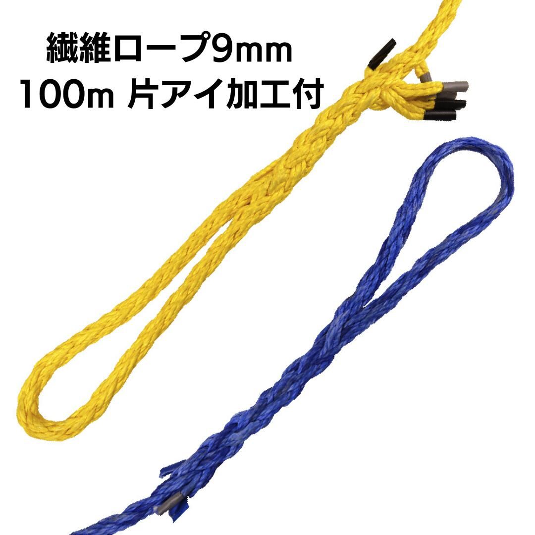DSロープ9mm100m 加工あり
