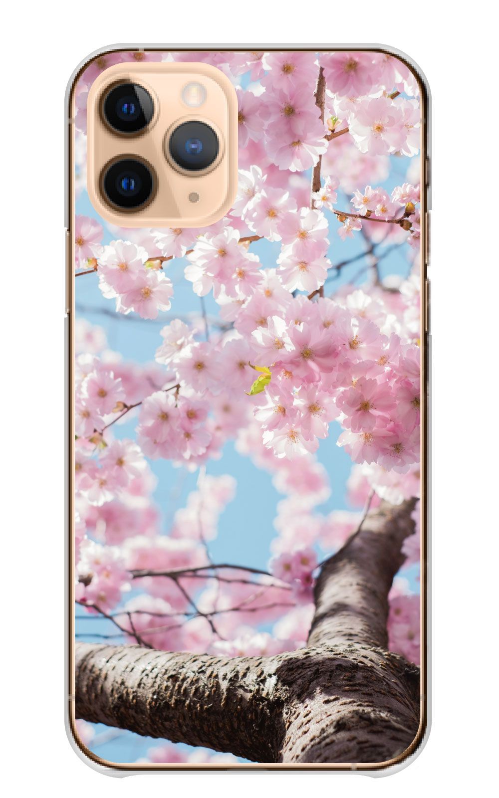 sakura3ケース 商品詳細ページ | 櫻坂46 OFFICIAL GOODS STORE | 【通常配送