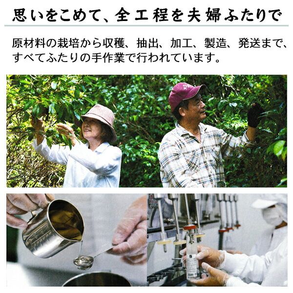 各2本