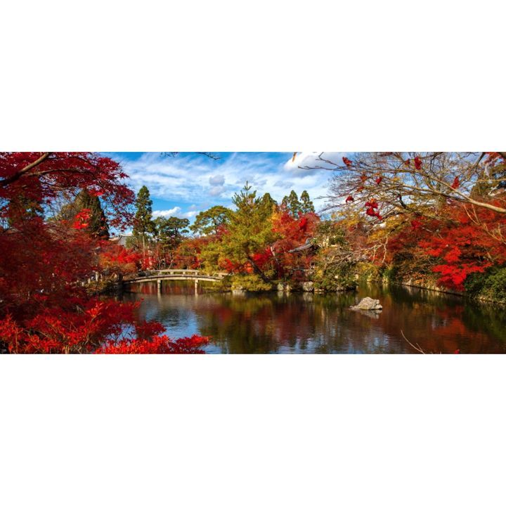 絵画風 壁紙ポスター (はがせるシール式) 紅葉 もみじ イロハモミジ 