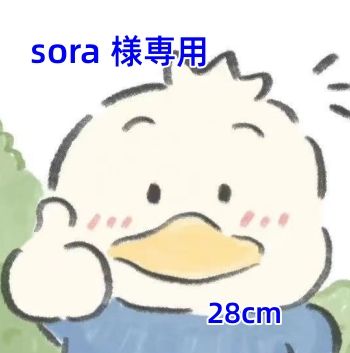 sora 