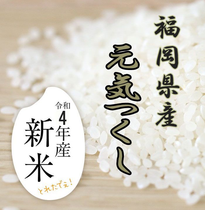 福岡県産米 元気つくし10kg お米　白米　厳選米　最安値