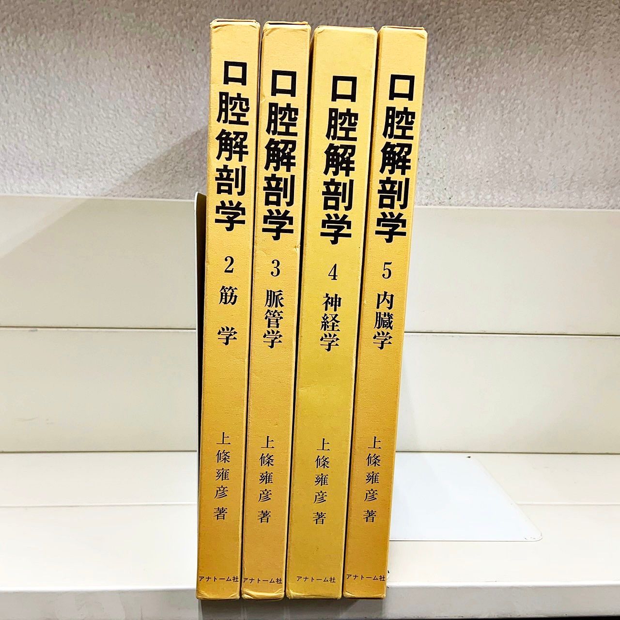 図説 口腔解剖学 2-5巻セット 東京歯科大学元教授 上条雍彦 著 アナトーム社 - メルカリ