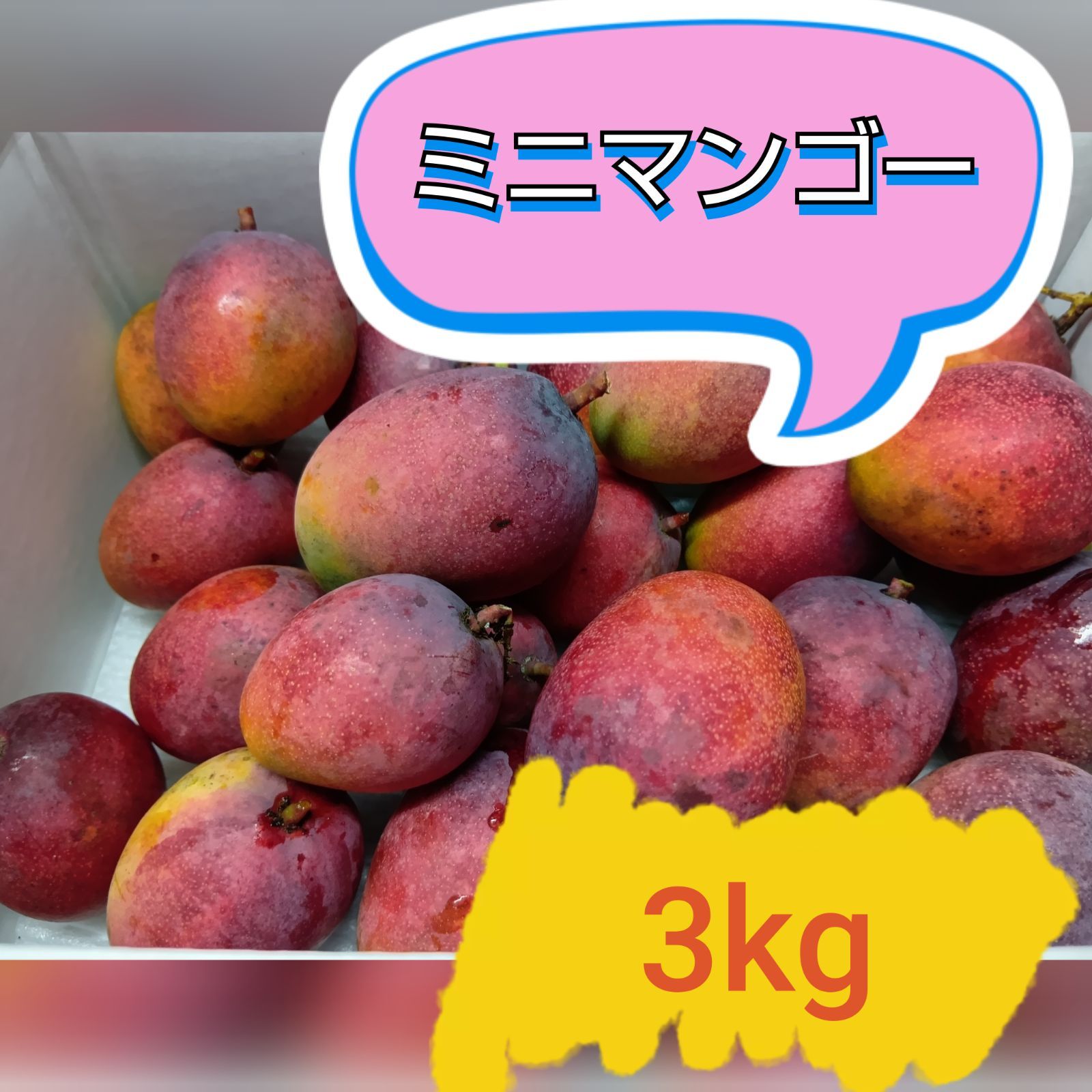 訳あり　ミニマンゴー　5kg クール便 ミニマンゴー 7.5kg（加工用）クール便発送 - メルカリ
