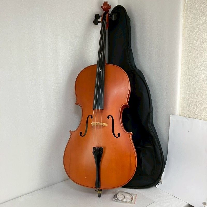 Hallstatt ハルシュタット チェロ 本体 ソフトケース 楽器 弦楽器