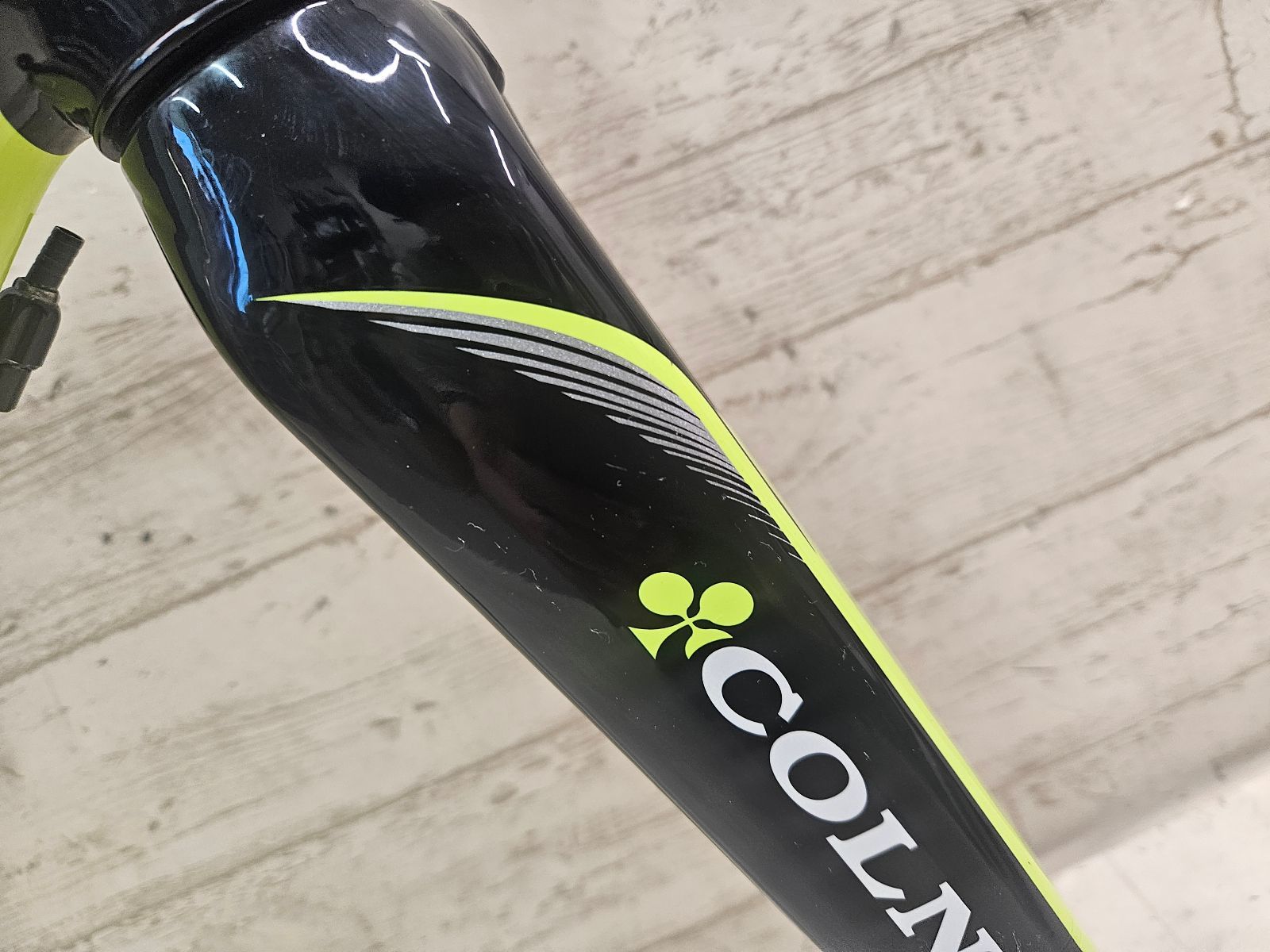 発送のみ COLNAGO