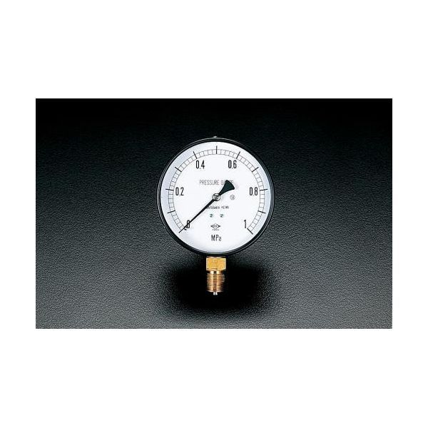 dolce & gabbanaロングノーズ サイドジップブーツ メダリオン