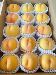 ミスピーチもも　秀品　黄金桃　桃　黄桃 wamers_557452-672