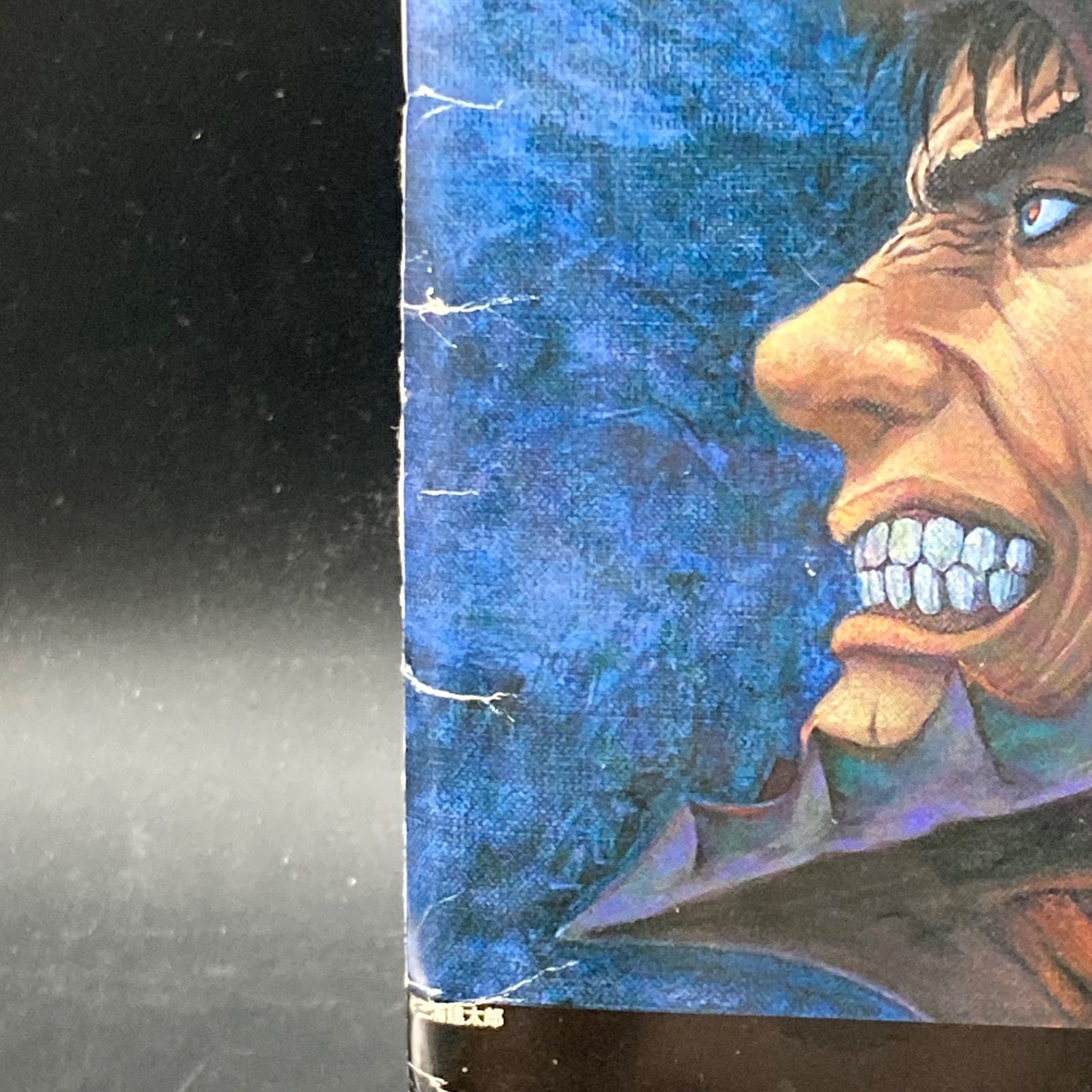 姫路東】別冊ベルセルク 2011年ヤングアニマル8号特別付録【203