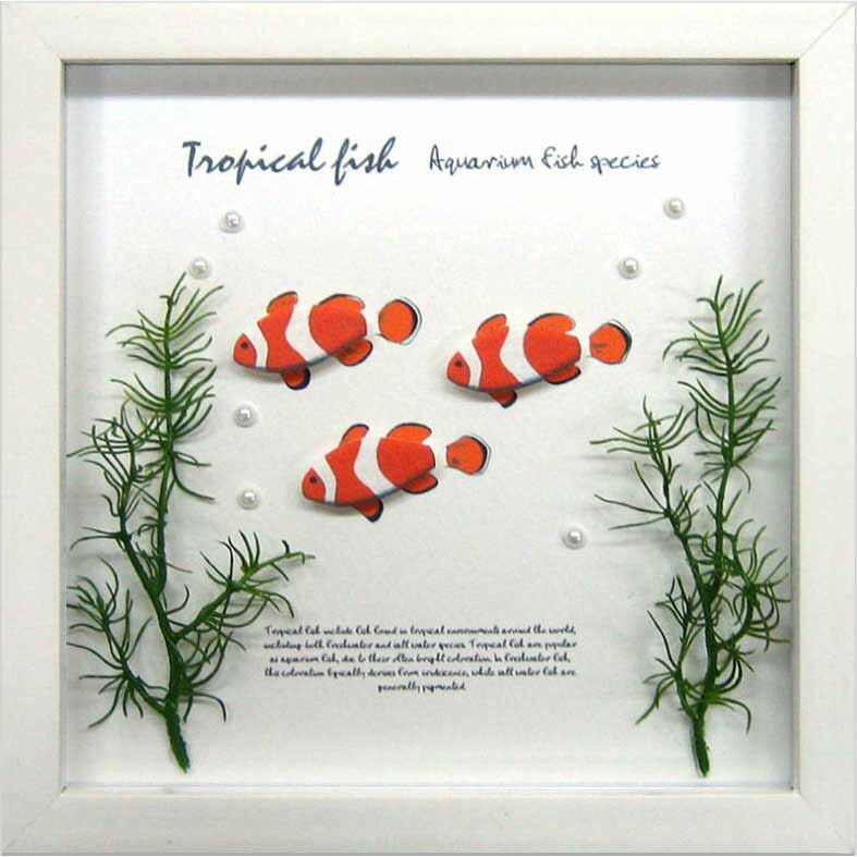 アクアフレーム ゆうパケット Aqua Frame Clownfish(クラウンフィッシュ（クマノミ） )/インテリア 壁掛け おしゃれ 飾る 額入り  フック 民家 花 アートフレーム おしゃれ 飾る Sサイズ