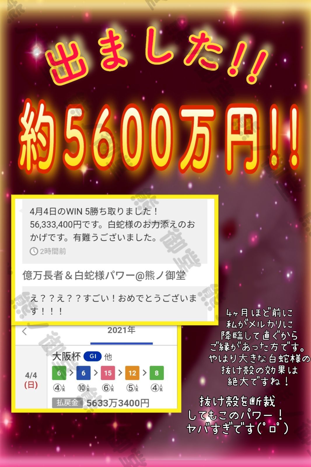 爆売り 13 金運 白へび チャーム 白 蛇の抜け殻 天赦日 お守り 当店