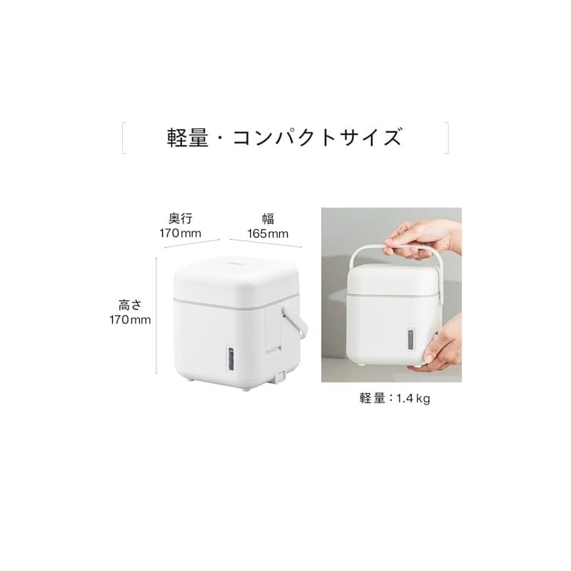 ツインバード フェイススチーマー 美顔器 コンパクト ミラー付 水道水