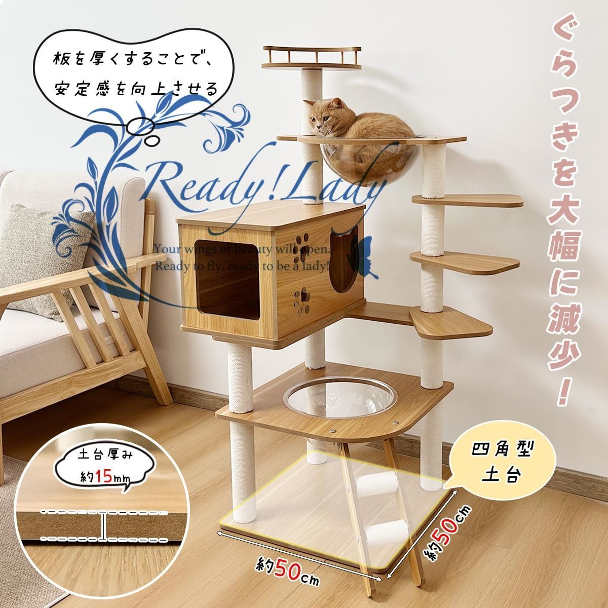 子猫向け