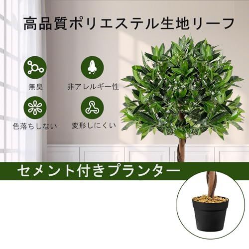 枯れない 盆栽植物