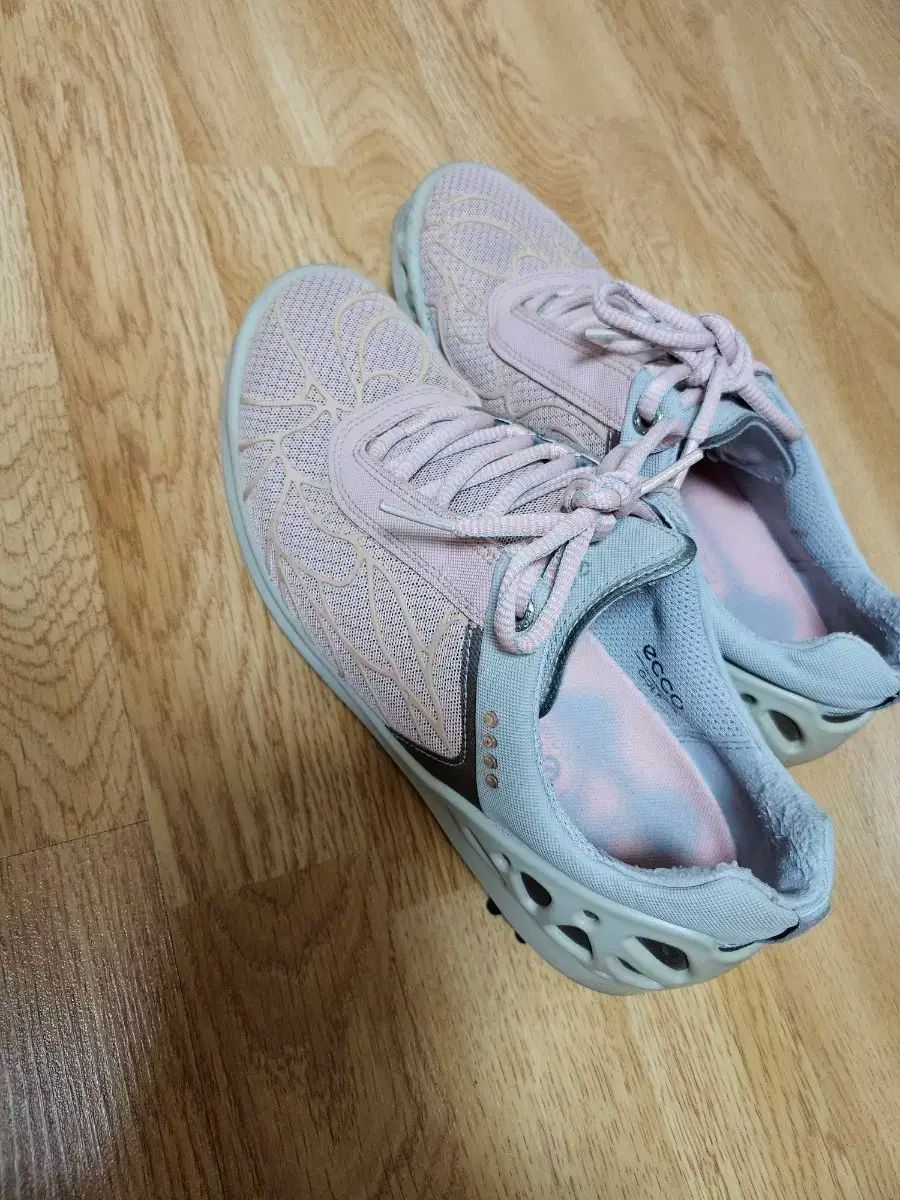 エコゴルフシューズ