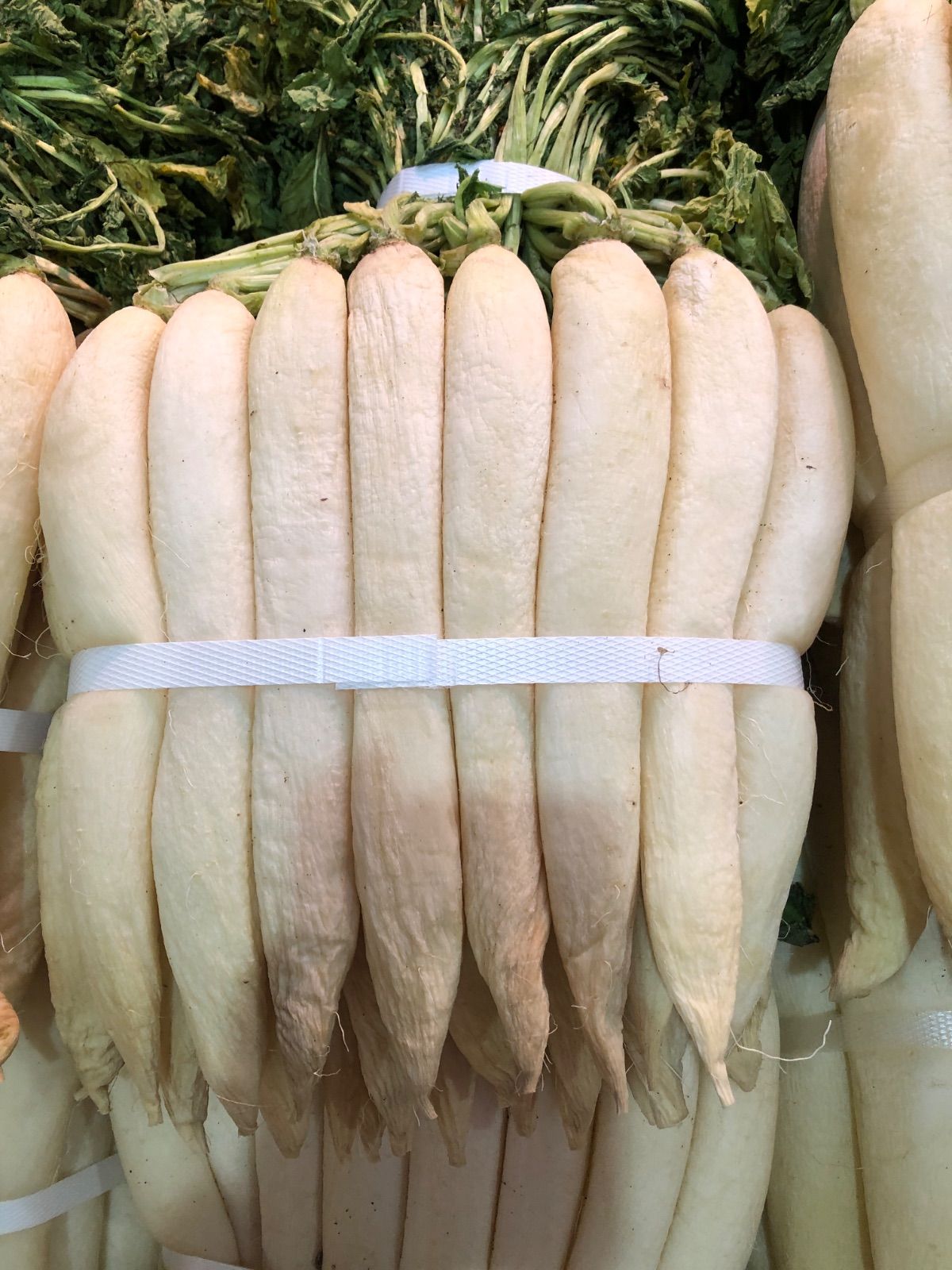 金沢発送　干し大根5kg×3束（32本〜38本程度）※手作り沢庵に。 金沢発送 干し大根5kg（32本〜38本程度）※手作り沢庵に。