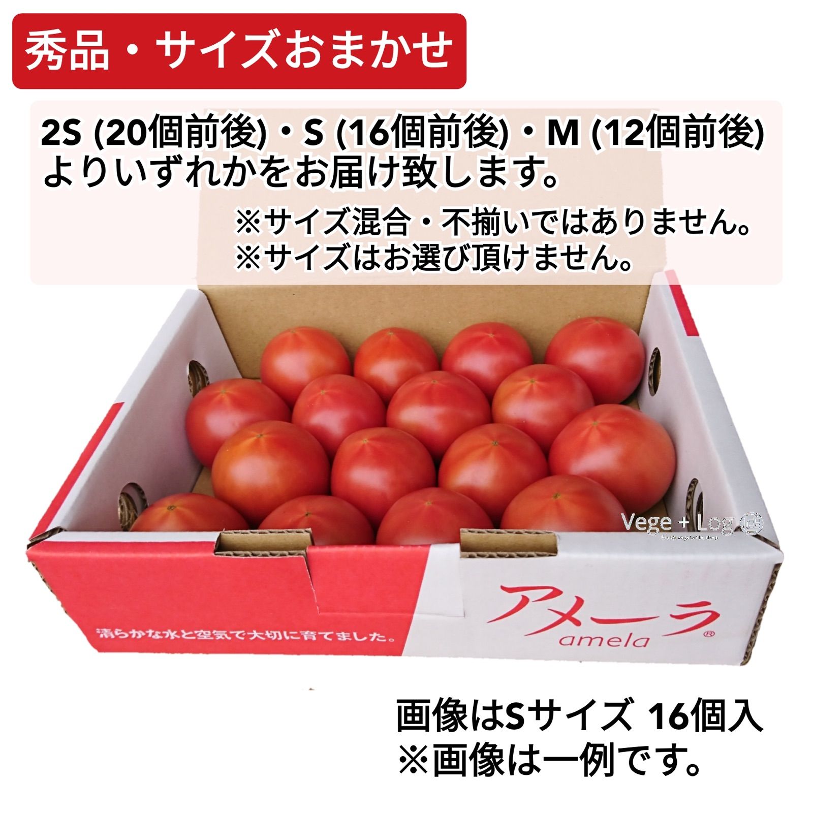 話題の人気 静岡県 ”高糖度フルーツトマト アメーラ” 大きさおまかせ 約1kg ほんのちょっと訳あり 化粧箱入り 