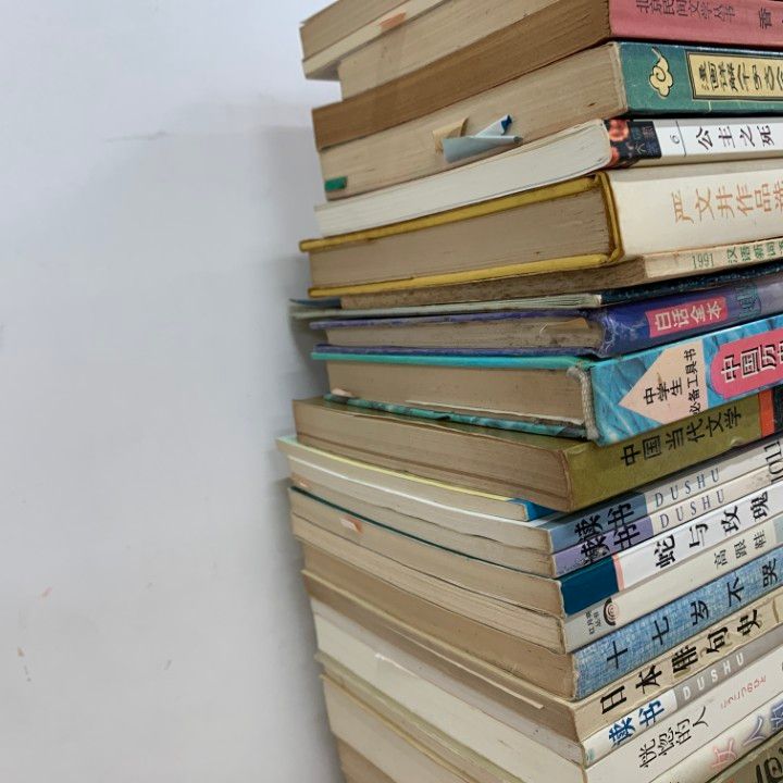 ■02)【同梱不可】中国文学などの中文書 まとめ売り約100冊大量セット/本/言語学/文芸/古典/小説/長編/短篇/物語/作品/唐詩/甲骨文/B □02)【同梱不可】中国文学などの中文書 まとめ売り約100冊大量