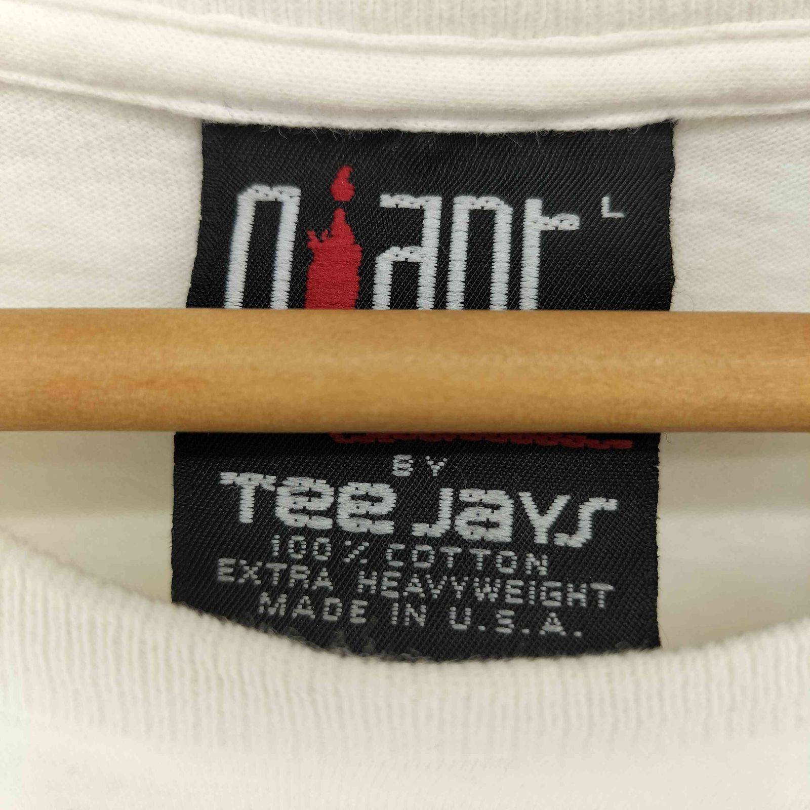 ジャイアント giant 90S MADE IN USA クルーネックS/S バンドT