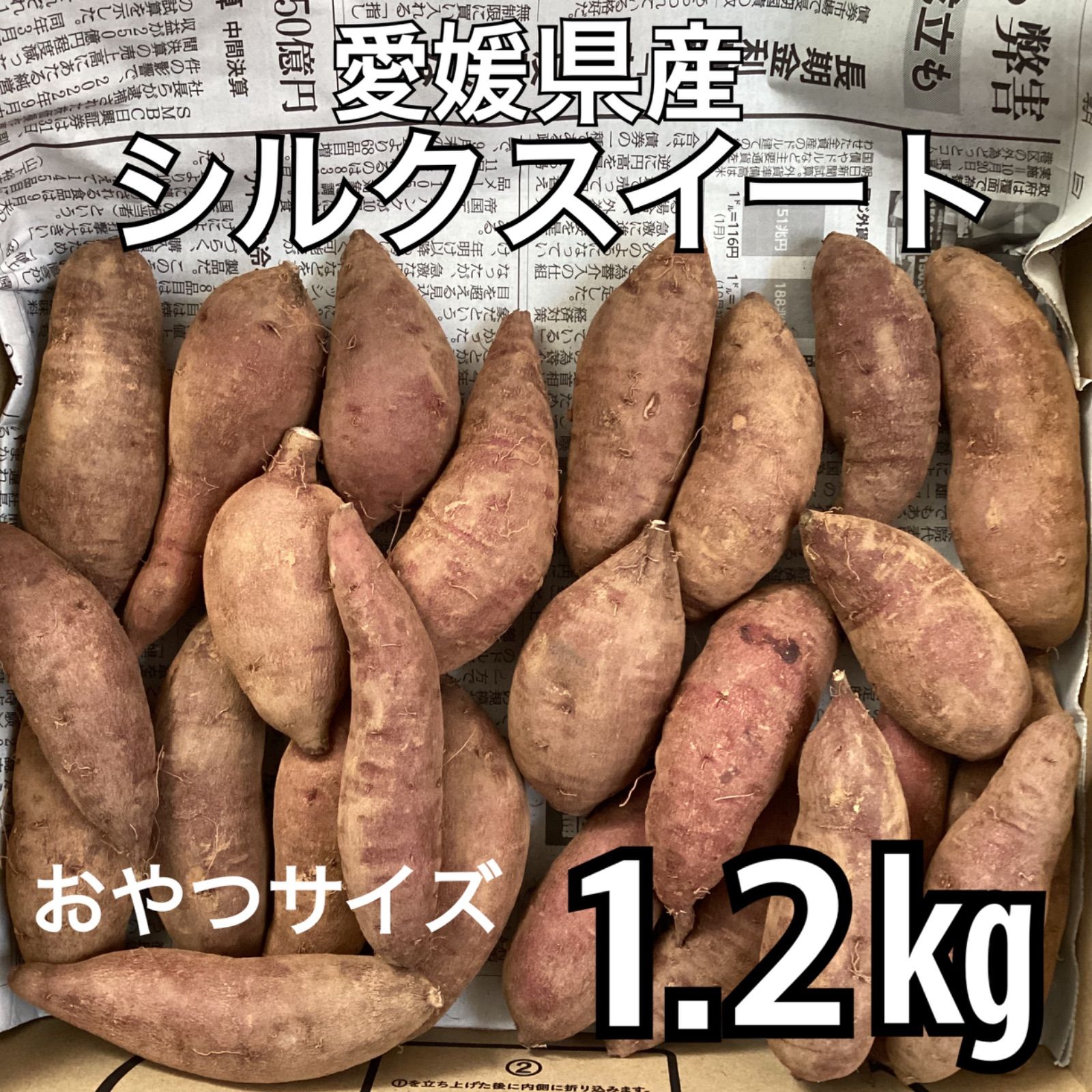 最先端 シルクスイート☆プチサイズ1.2㎏ 食品